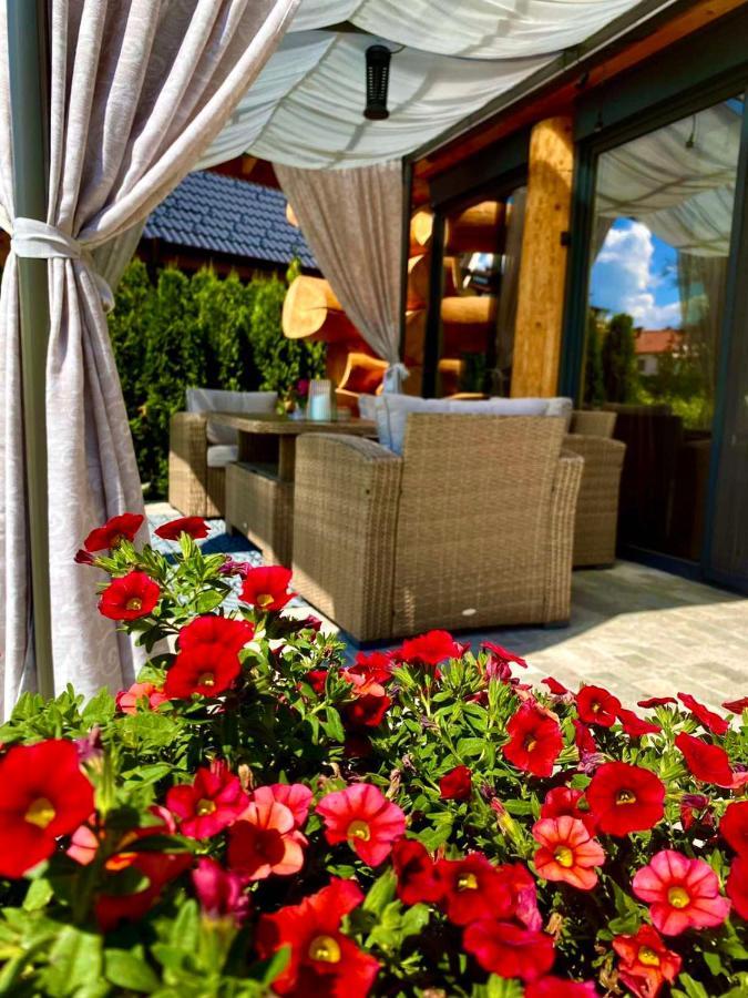 Alpina Luxury Chalets サパレヴァ・バニャ エクステリア 写真