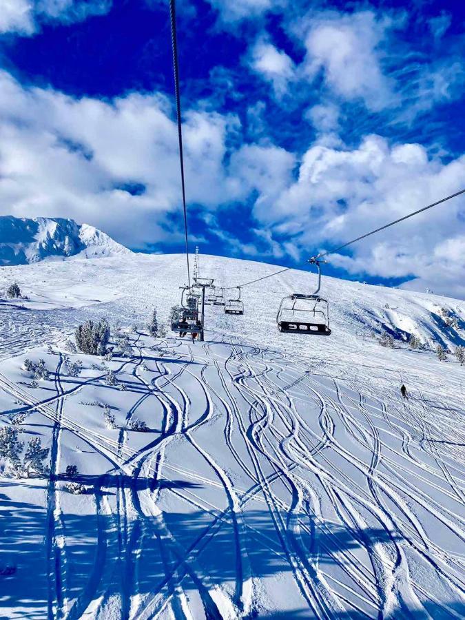 Alpina Luxury Chalets サパレヴァ・バニャ エクステリア 写真