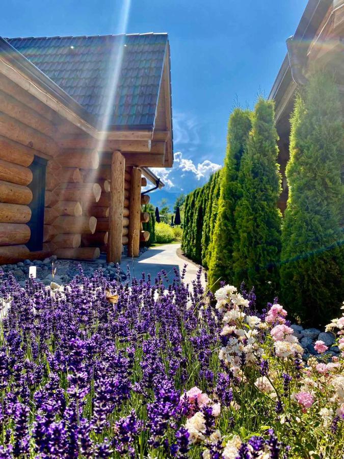 Alpina Luxury Chalets サパレヴァ・バニャ エクステリア 写真
